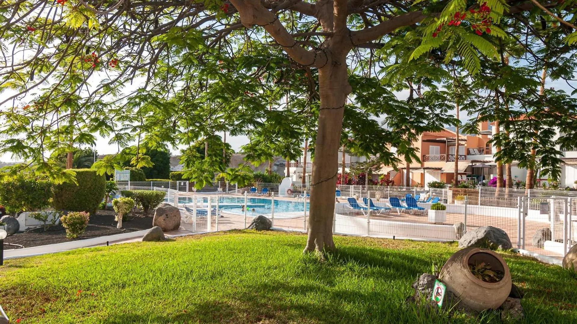 Luxurious Apartment In Residencial Mango! Costa Adeje  0*, Costa Adeje (Tenerife)