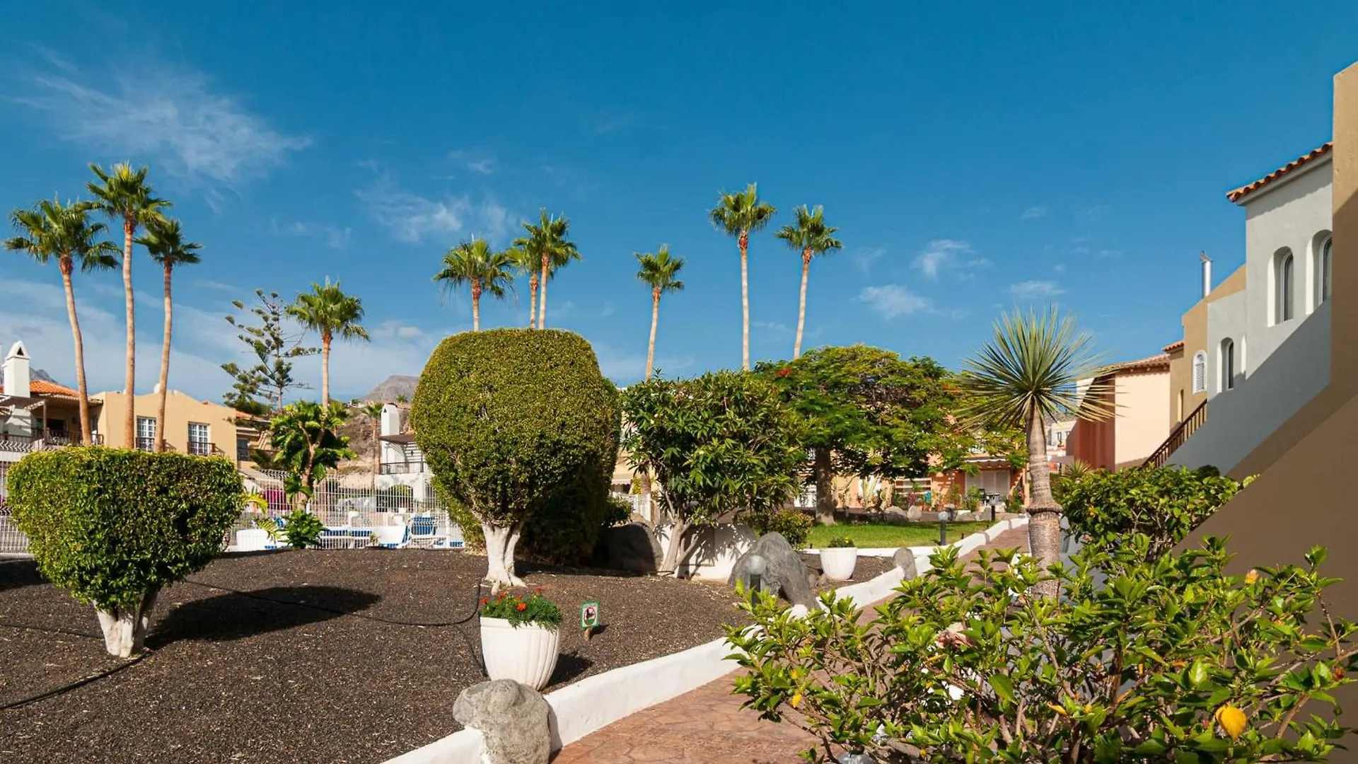 Luxurious Apartment In Residencial Mango! Costa Adeje   Costa Adeje (Tenerife)